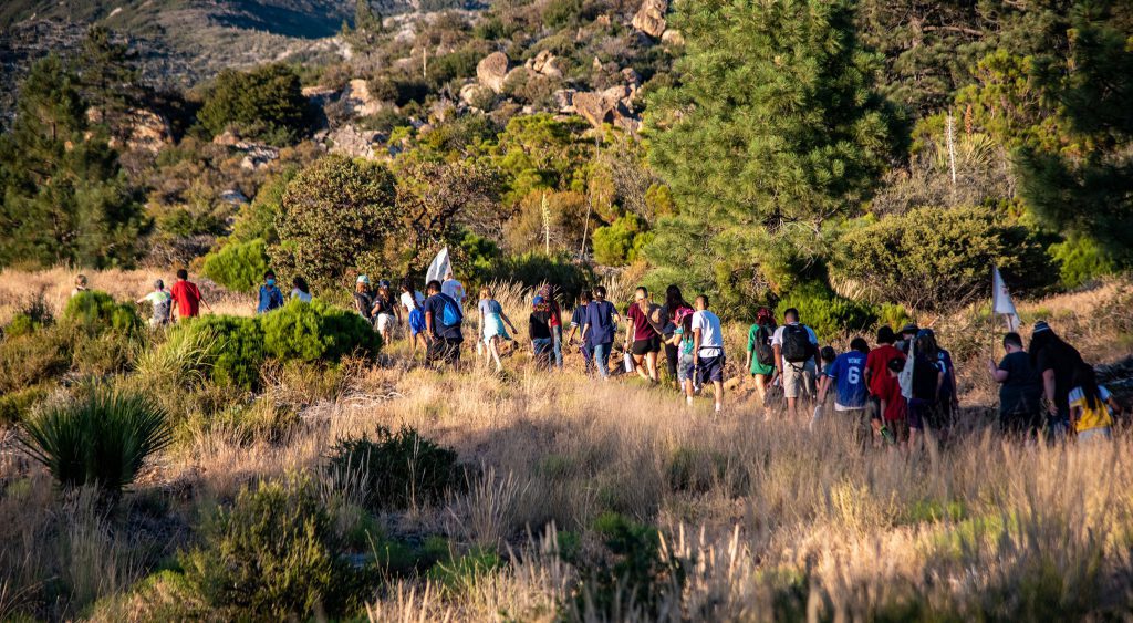 A group of people engaged in outdoor education hikes along a trail through hilly terrain, surrounded by tall grass and scattered trees. The hikers, sporting backpacks and colorful clothing, carry flags as they explore the landscape bathed in warm sunlight.