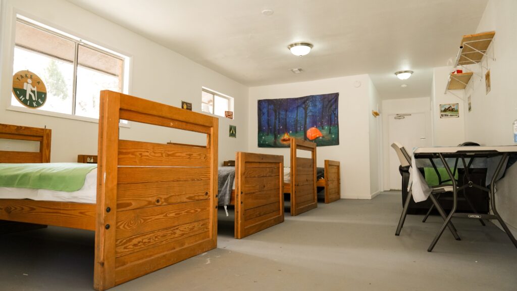 A dorm-style bedroom with three wooden single beds, green-and-white bedding, a desk with two chairs, shelves with various items, and a window letting in natural light. A forest-themed wall tapestry decorates the room.